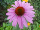 DSCN8199