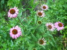 DSCN8206