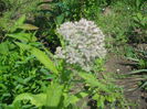 DSCN8222