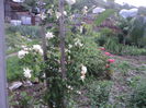 DSC04493