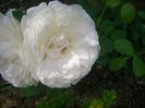 CIMG0058
