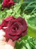CIMG0047