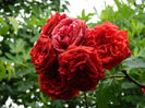 DSCN0482