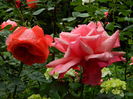 DSCN0485