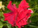 DSCN0495