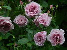 DSCN0506