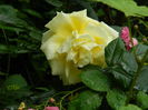 DSCN0523