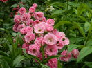 DSCN0527