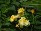 DSCN0530