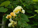 DSCN0546