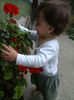 floricica noastra draga