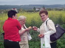NUMAI ECOLGICE