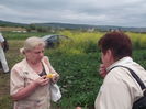 Picture 2727