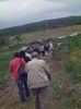 Picture 2734