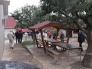 Picture 2739