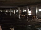 Picture 2741
