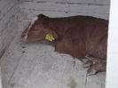Picture 2744