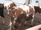 Picture 2753
