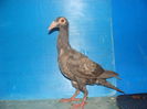 DSC02359