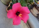DSC08507