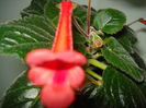 DSC09834