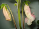 DSC09840