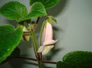 DSC09841