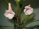 DSC09850