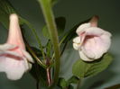 DSC09851