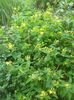 DSCN0490
