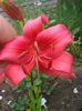 CIMG0091