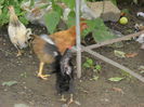 Picture 3207