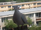 Un gugustiuc la balconul meu...