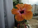DSC01798