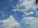 20140622_173607
