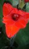20140626_112601