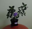DSC02427