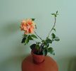 DSC02449