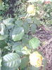 IMG_20140527_174325