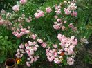 CIMG0034