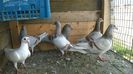 WP_20140627_019