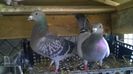 WP_20140627_027