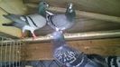 WP_20140627_028
