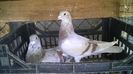 WP_20140627_031