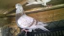 WP_20140627_034