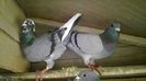WP_20140627_036