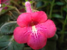 DSC09905