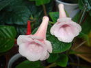 DSC09915