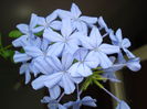 DSC09901