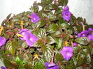 DSC09897